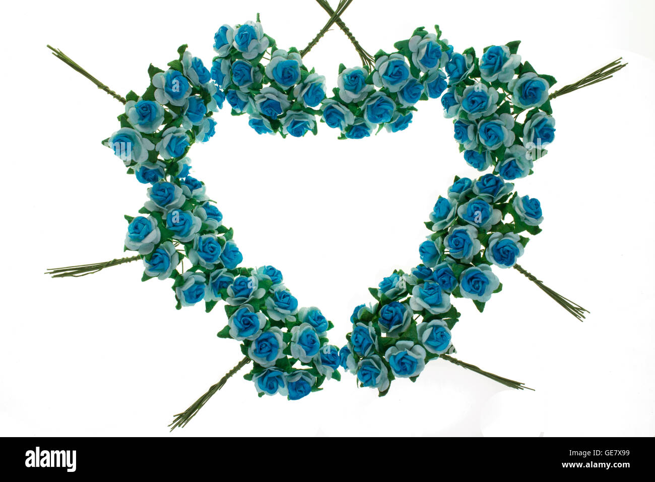La molla rami fioriti, fiori blu, senza foglie, fiori di telaio di cuore su sfondo bianco. Foto Stock