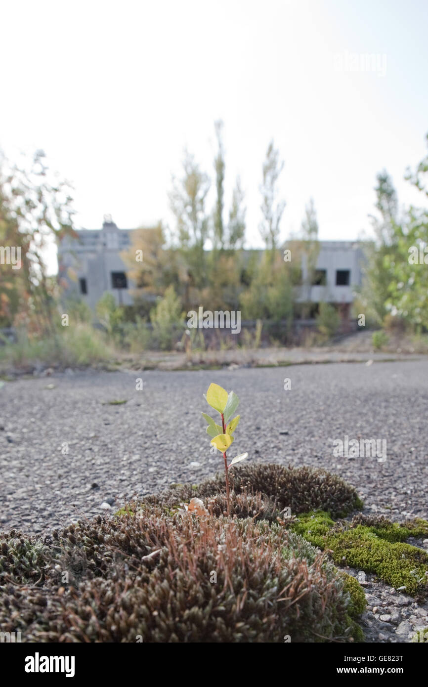 Abbandonata la città di pripjat in Chernobyl zona di esclusione, Ucraina. Foto Stock