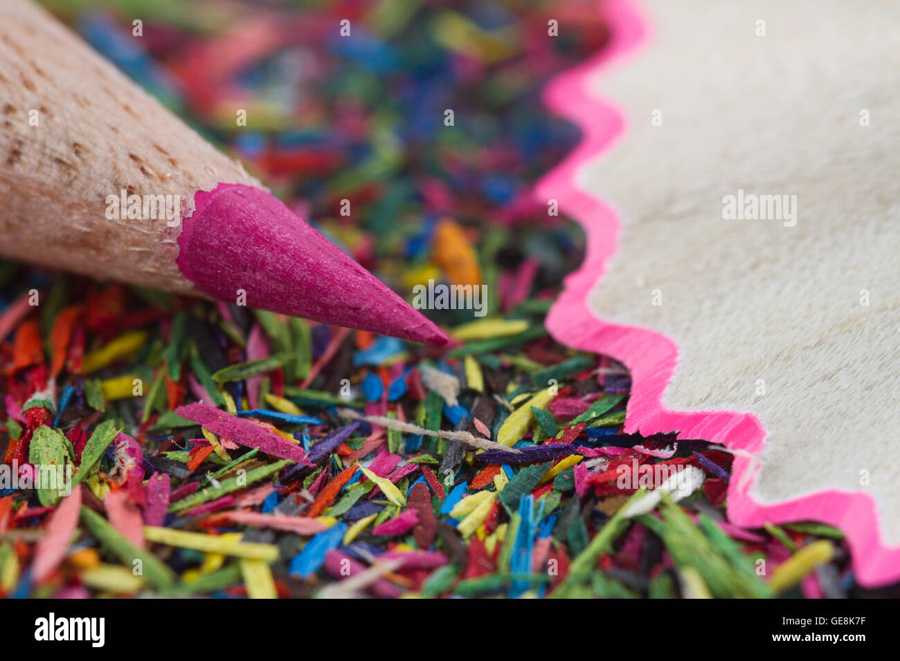 Macro di una punta di matita rosa nei pressi di trucioli di legno Foto Stock