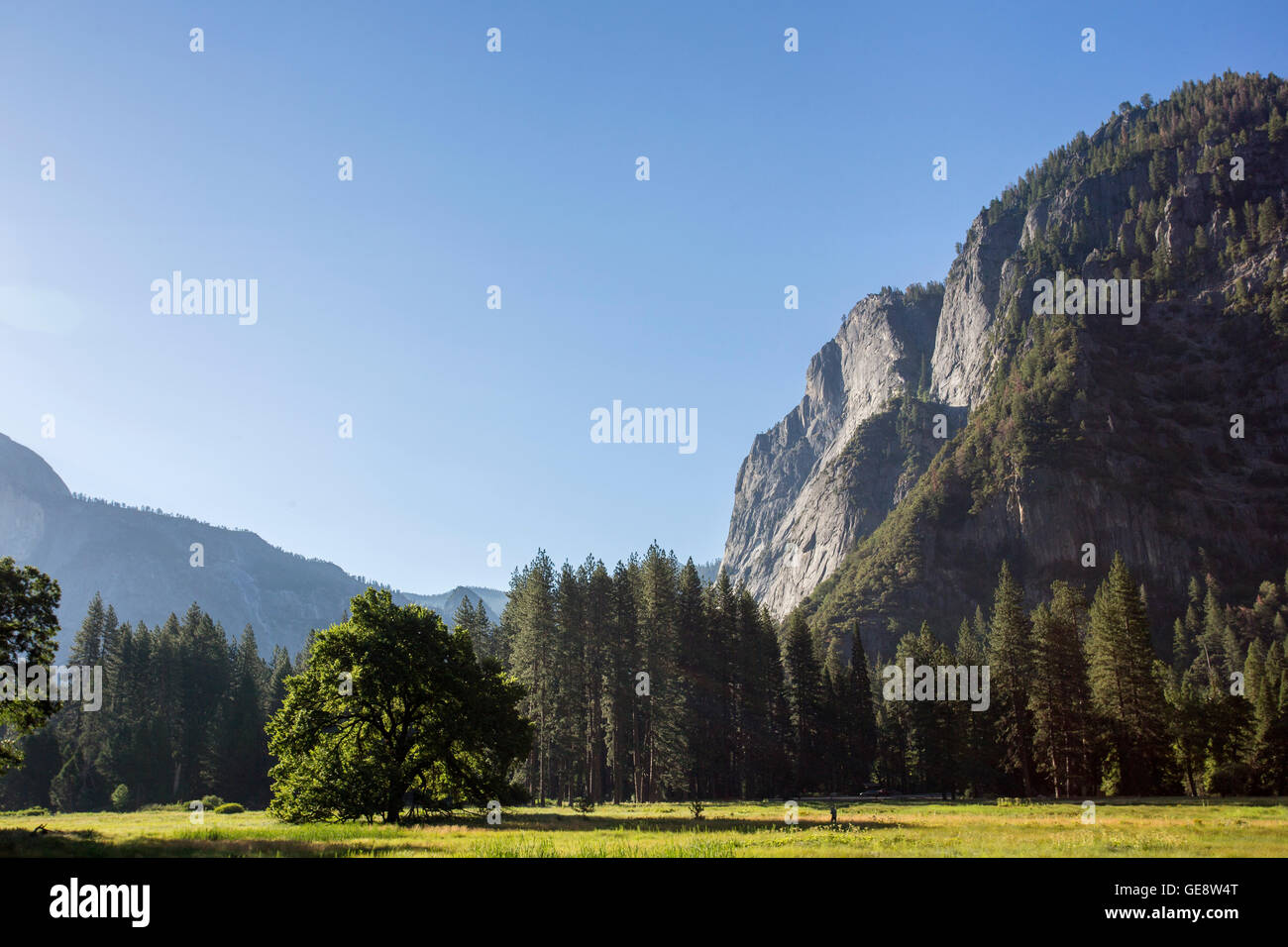 Il parco nazionale di Yosemite Valley, Stati Uniti d'America Foto Stock