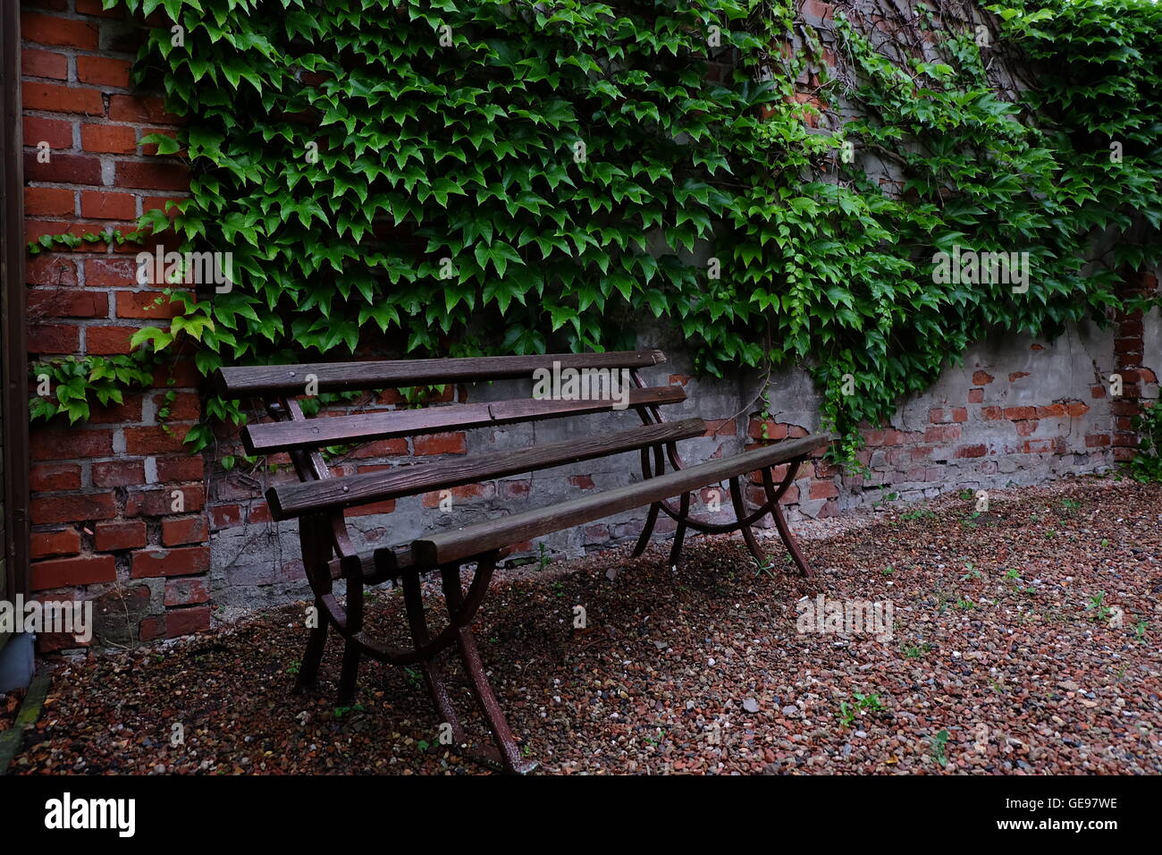 Colore della banca natura arte retrò wolky Foto Stock