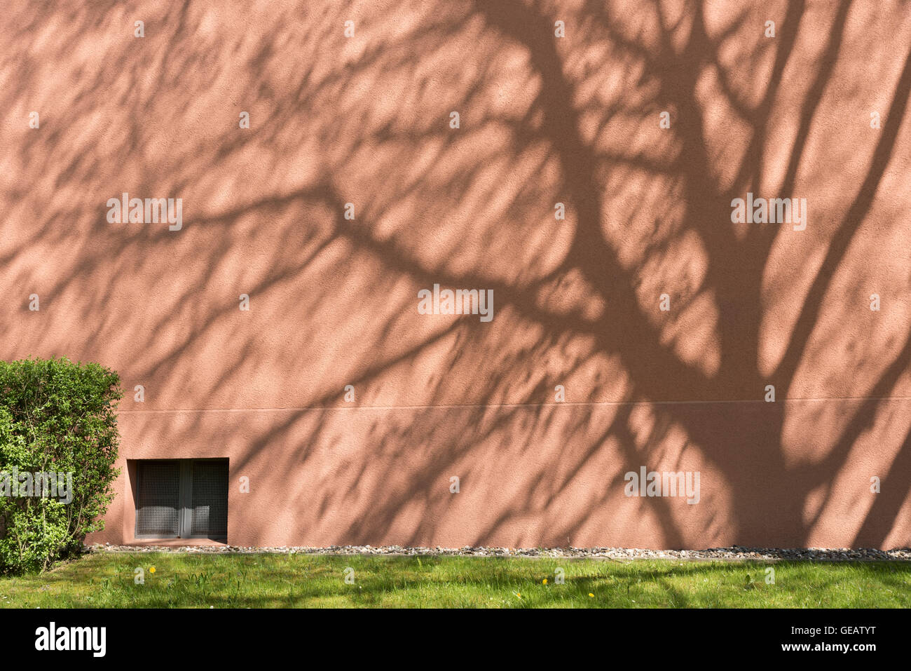 Ombra di un albero sulla facciata Foto Stock