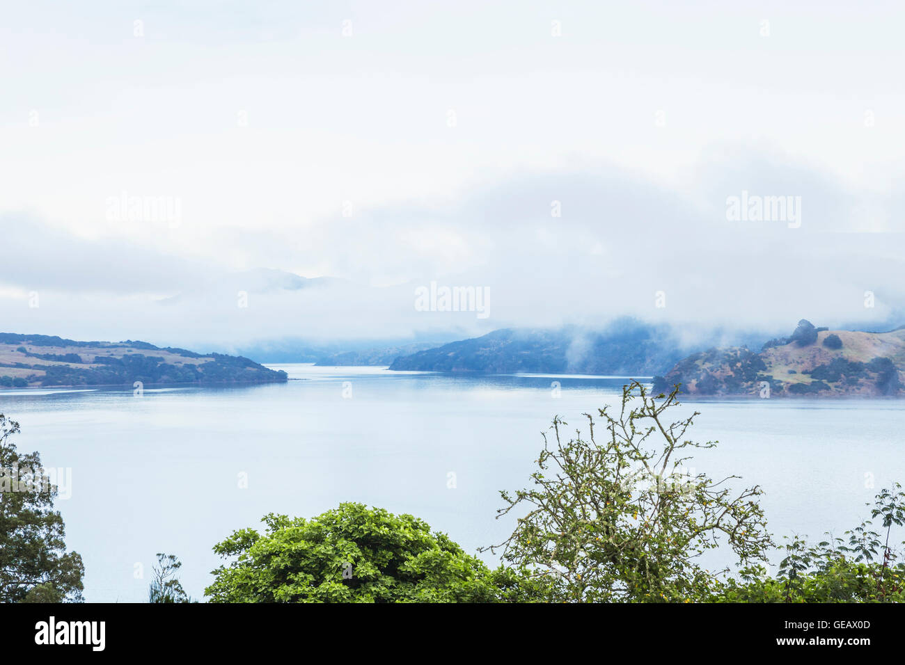 Nuova Zelanda, Isola del nord, Northland, Hokianga Harbour, foggy Foto Stock