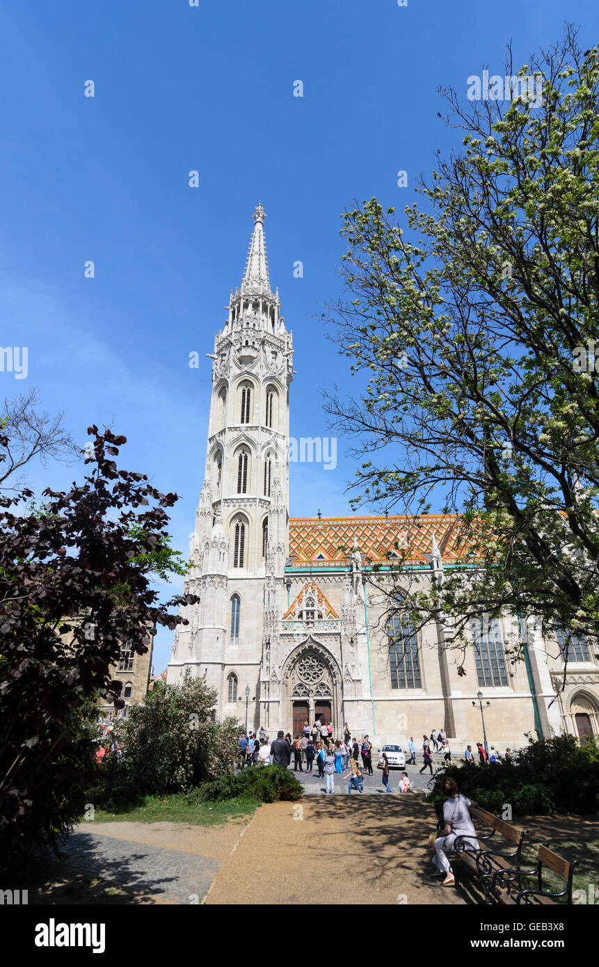 Budapest: la chiesa di San Mattia, Ungheria, Budapest, Foto Stock