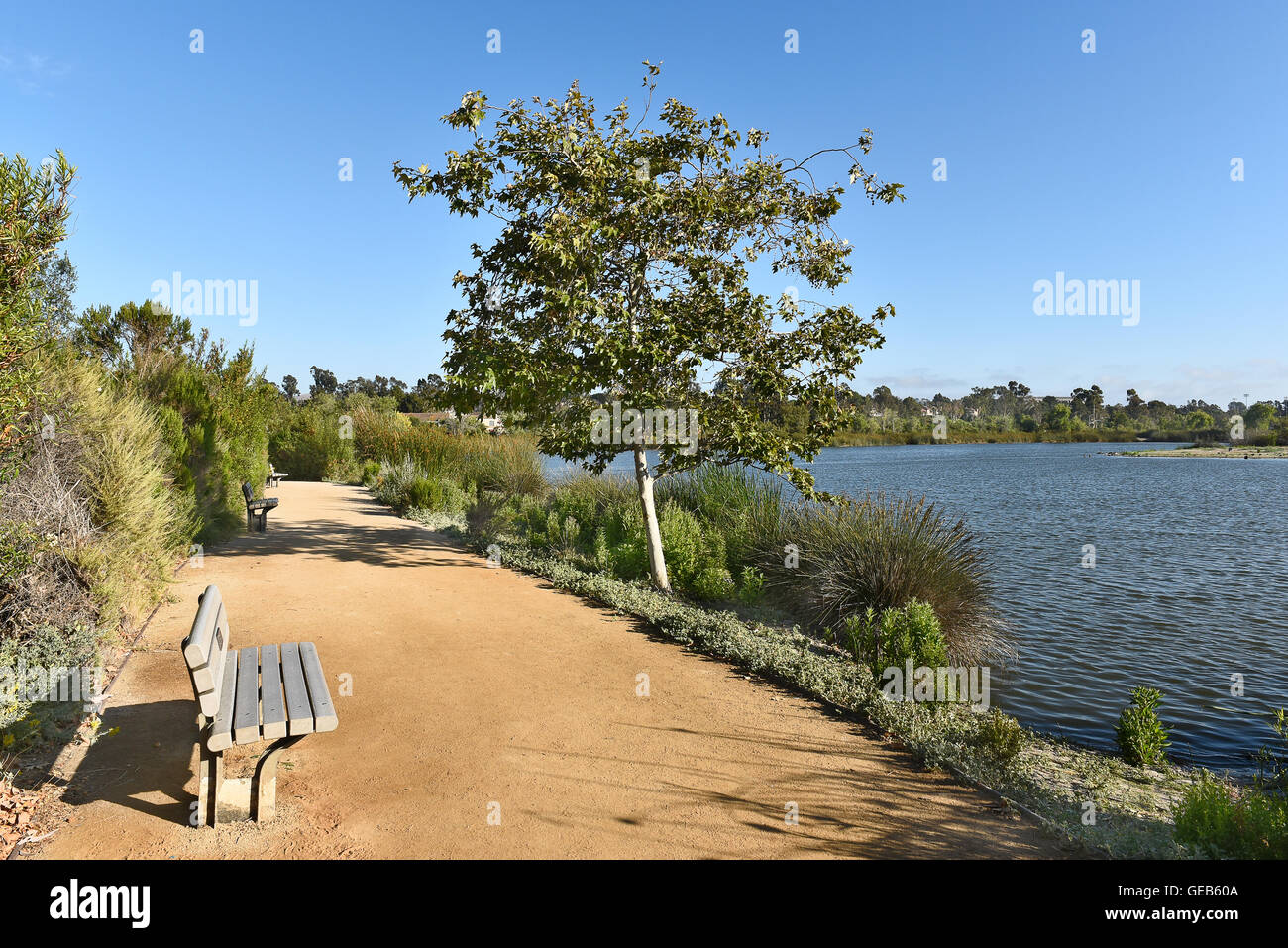 Banchi di osservazione e trail a stagno #1 a San Joaquin Marsh Riserva, Irvine, CA Foto Stock