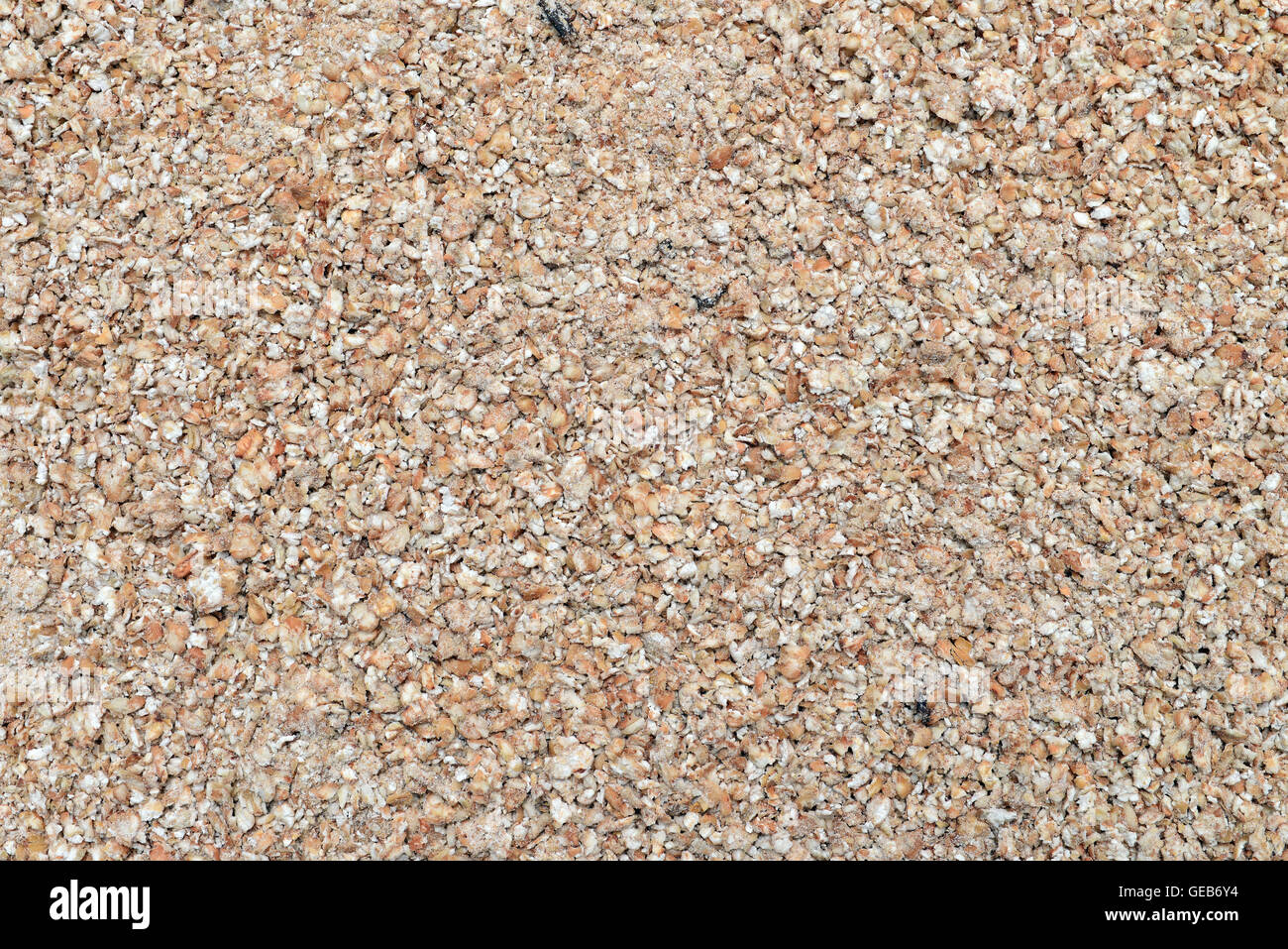 Il grano saraceno cereale macinato semi pattern texture Foto Stock