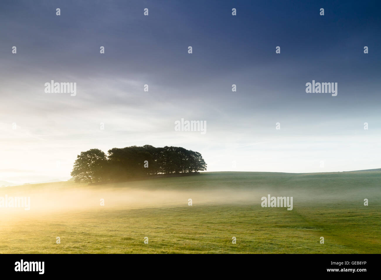 La nebbia sovrasta il Pennine Way National Trail su Eston Moor nel Yorkshire Dales National Park, England, Regno Unito Foto Stock