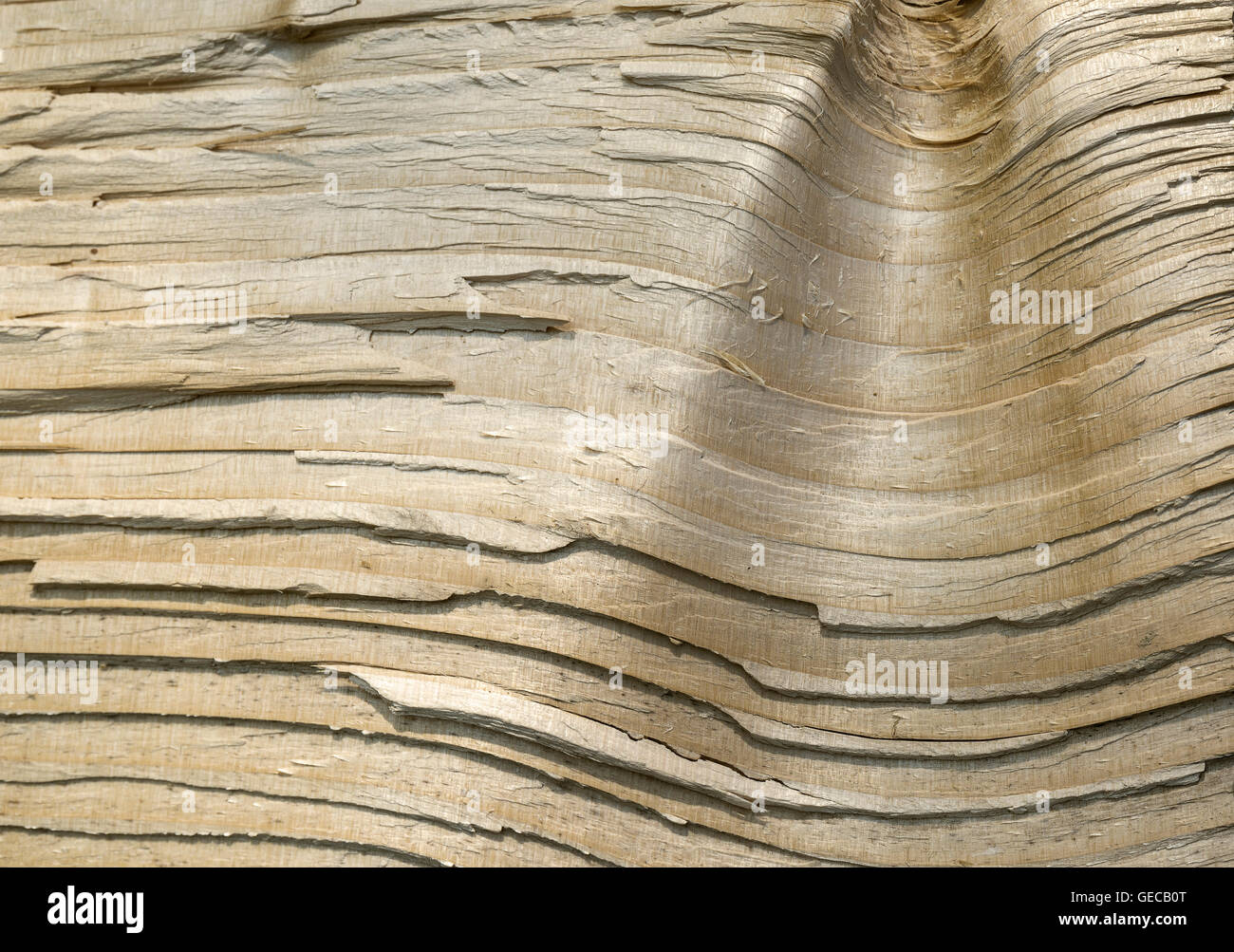 Full frame sfondo astratto che mostra rotto il legno secco Foto Stock