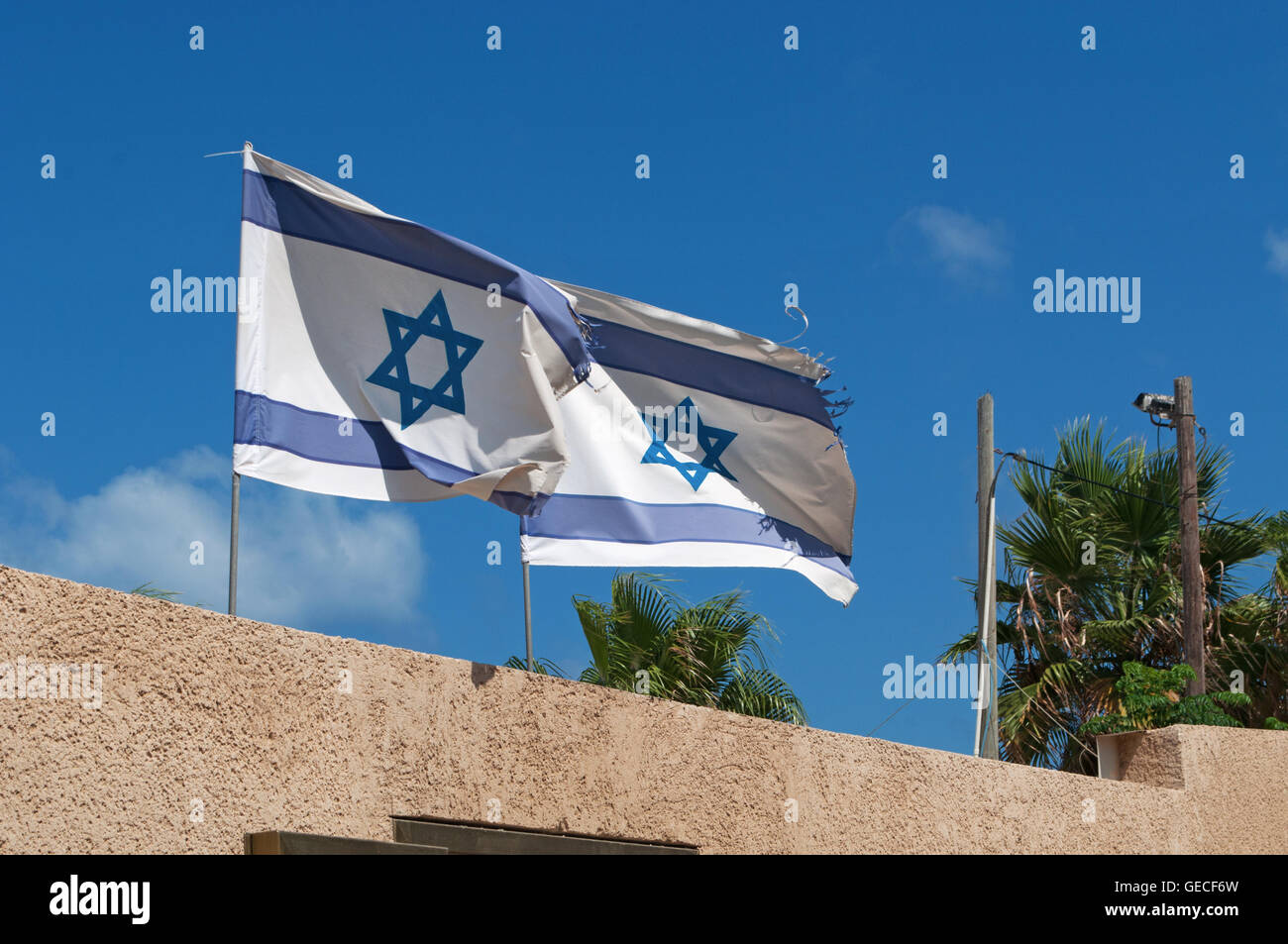 Tel Aviv: due sventolando bandiere di Israele, la bandiera di Israele è stato adottato il 28 ottobre 1948, 5 mesi dopo la creazione dello Stato di Israele Foto Stock