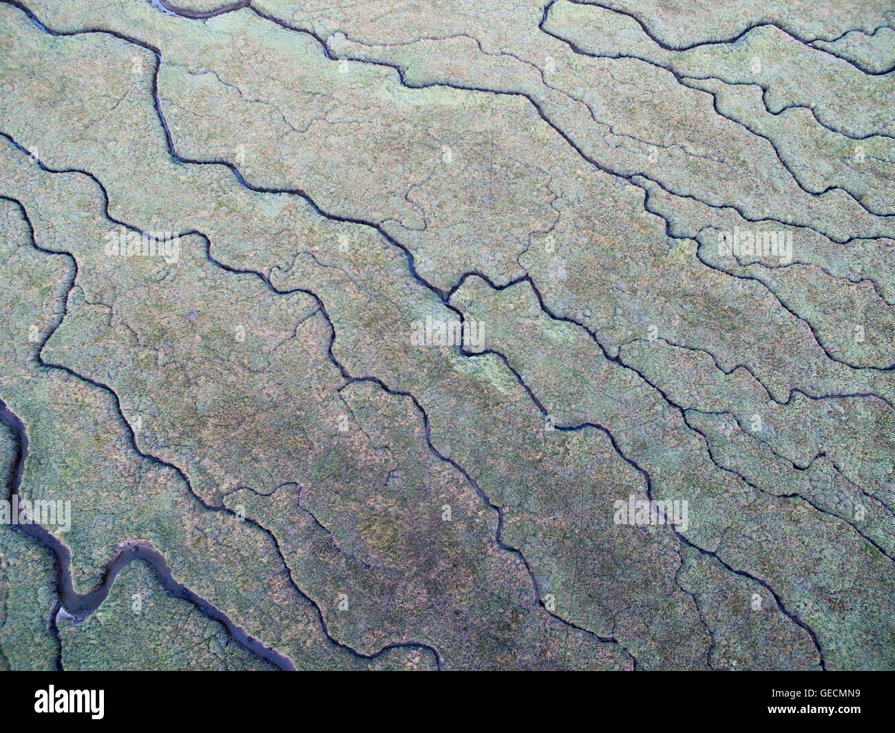 Vista aerea di paludi salmastre Foto Stock