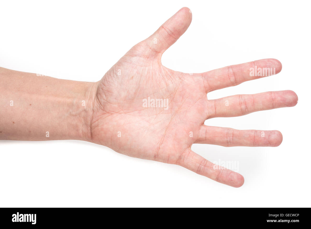 Vista dettagliata del maschio il palmo della mano aperta su sfondo bianco Foto Stock