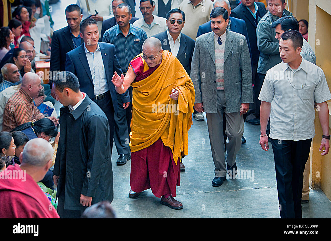 Sua Santità il Dalai Lama, al Monastero Namgyal,nel complesso Tsuglagkhang. McLeod Ganj Dharamsala, Himachal Pradesh, indi Foto Stock