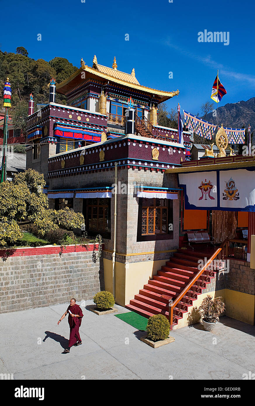 Monastero di Nechung Dharamsala, Himachal Pradesh, India, Asia Foto Stock