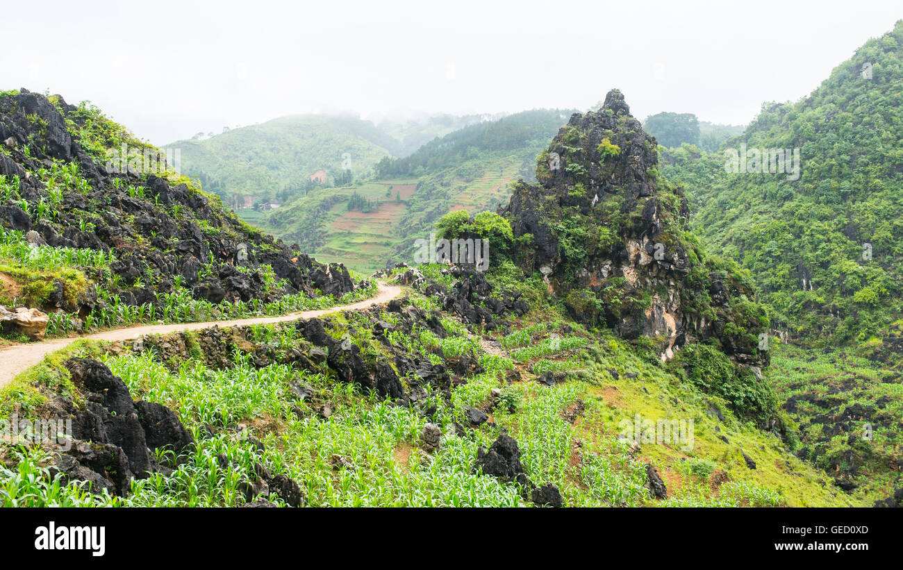 Percorso remoto nella campagna vietnamita che conduce a una minoranza nel villaggio di Dong Van, Ha Giang, Vietnam del Nord Foto Stock