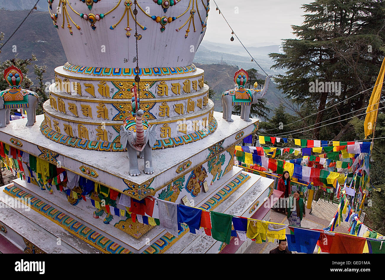 Stupa in Lhagyal Ri, vicino Tsuglagkhang complesso,McLeod Ganj Dharamsala, Himachal Pradesh, India, Asia Foto Stock