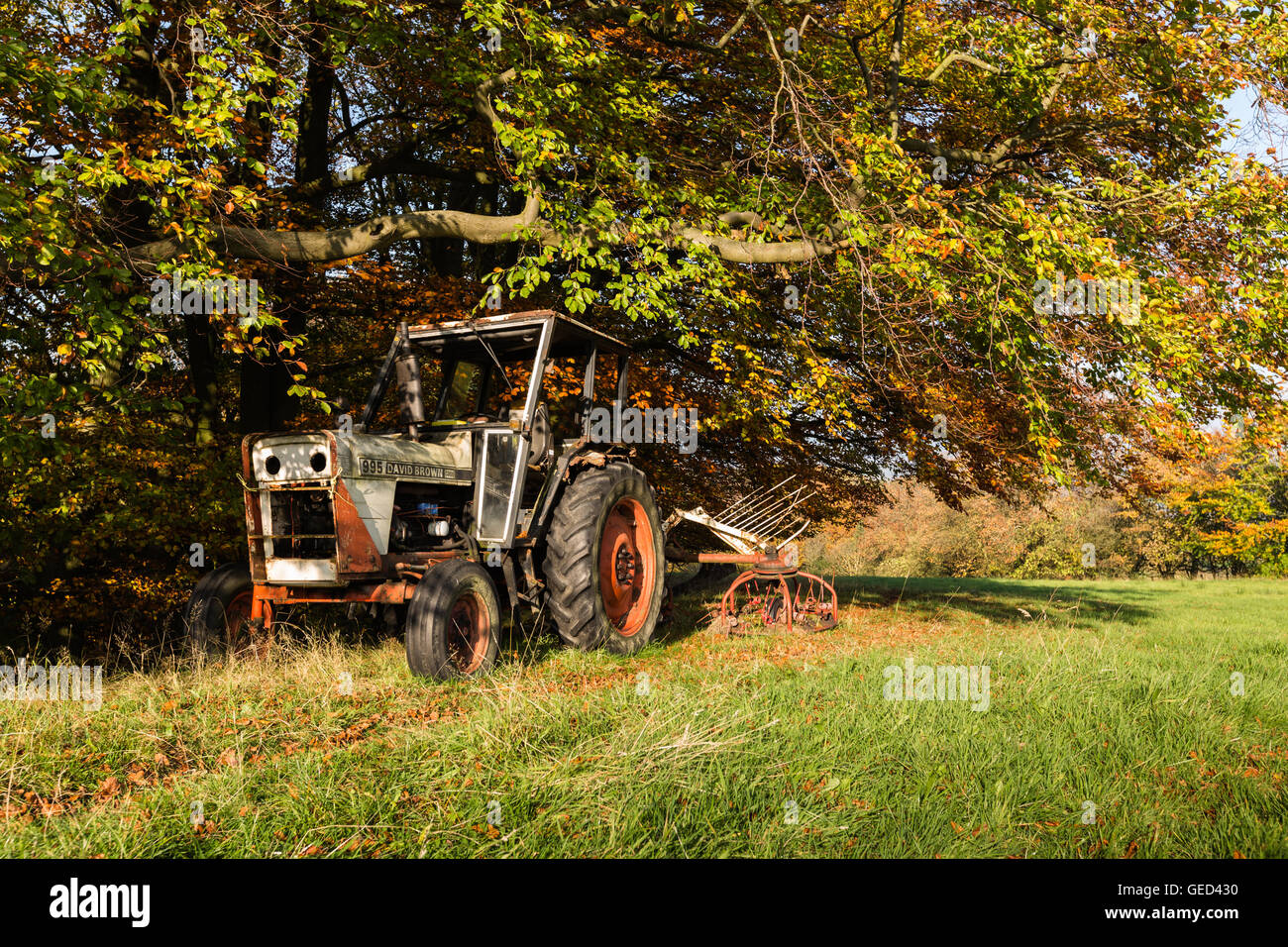 Un vecchio trattori David Brown con fienagione attrezzatura è parcheggiato sotto gli alberi d'autunno, Carleton, nello Yorkshire, Inghilterra, Regno Unito Foto Stock