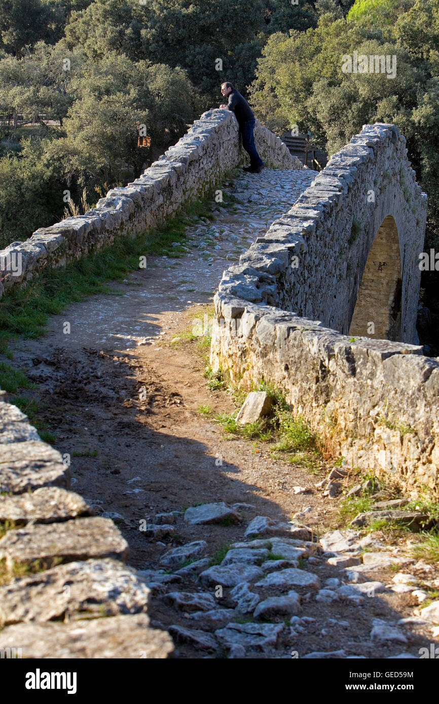 Llierca Ponte sul Fiume Llierca - XIV secolo -, tra Sadernes e Montagut villaggi, la Garrotxa, Girona, Spagna Foto Stock