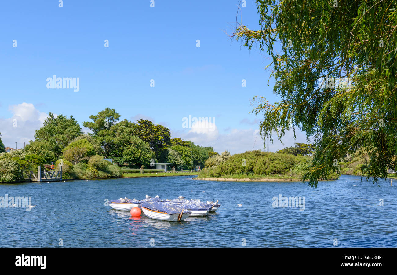 Piccolo lago in barca in un parco in estate al Parco Mewsbrook, Littlehampton, West Sussex, in Inghilterra, Regno Unito. Foto Stock