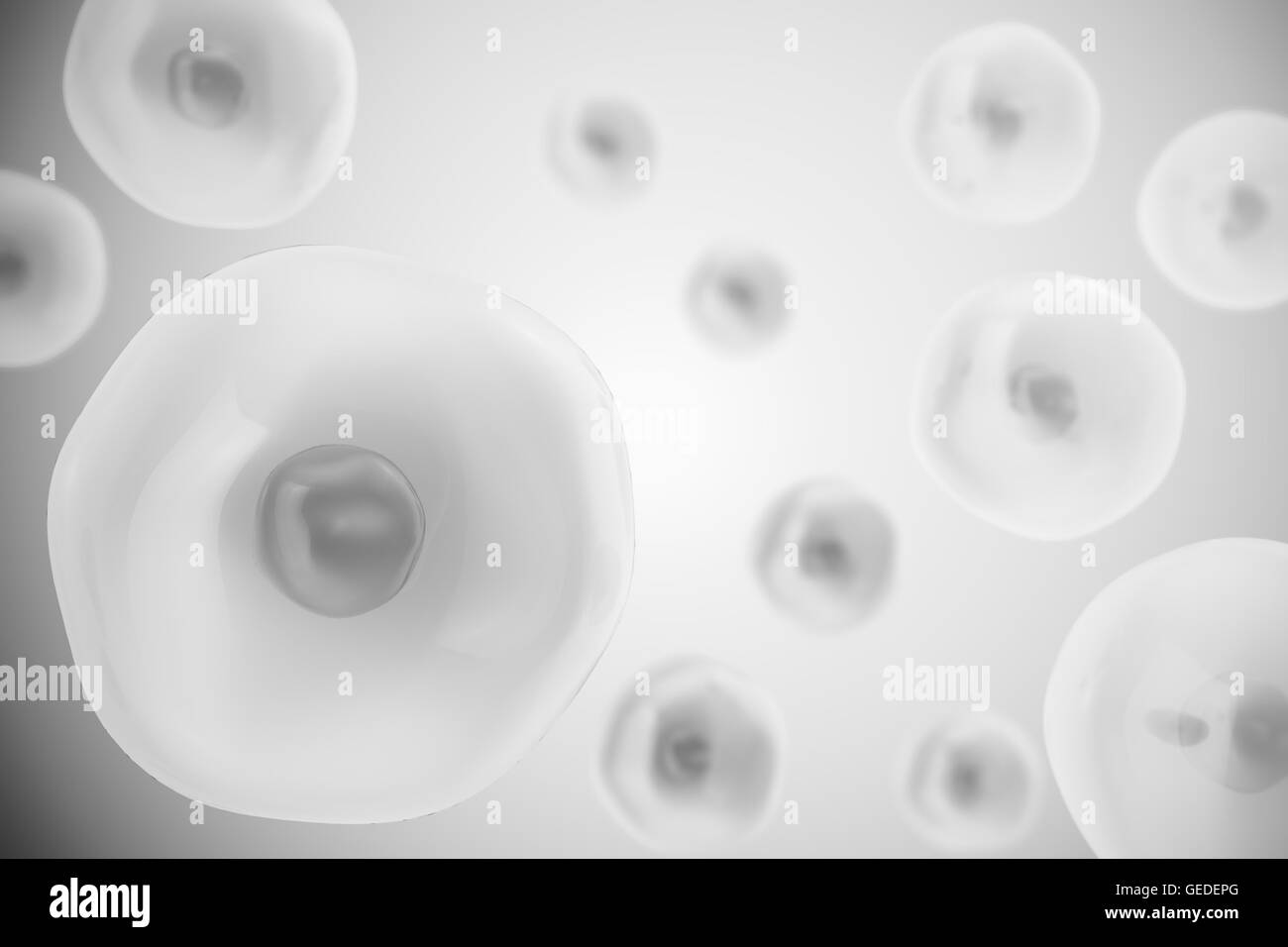 Cellula umana o animale su sfondo grigio. La vita e la biologia, medicina scientifica, ricerca molecolare concetto di DNA. 3d illustrazione Foto Stock