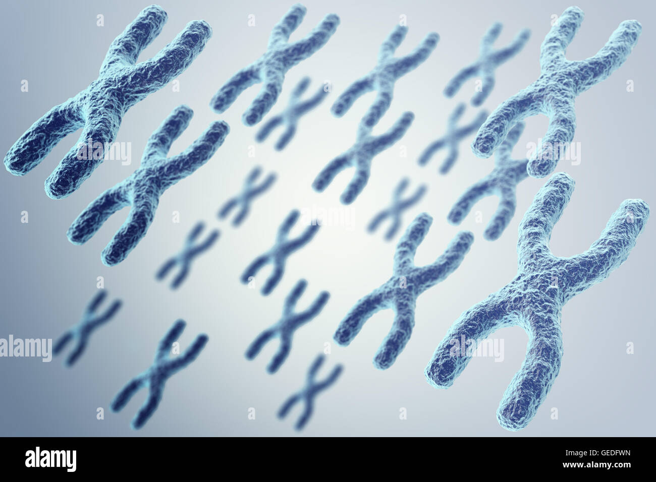 I cromosomi X su sfondo grigio, scientifico e il concetto di biologia. 3d illustrazione Foto Stock