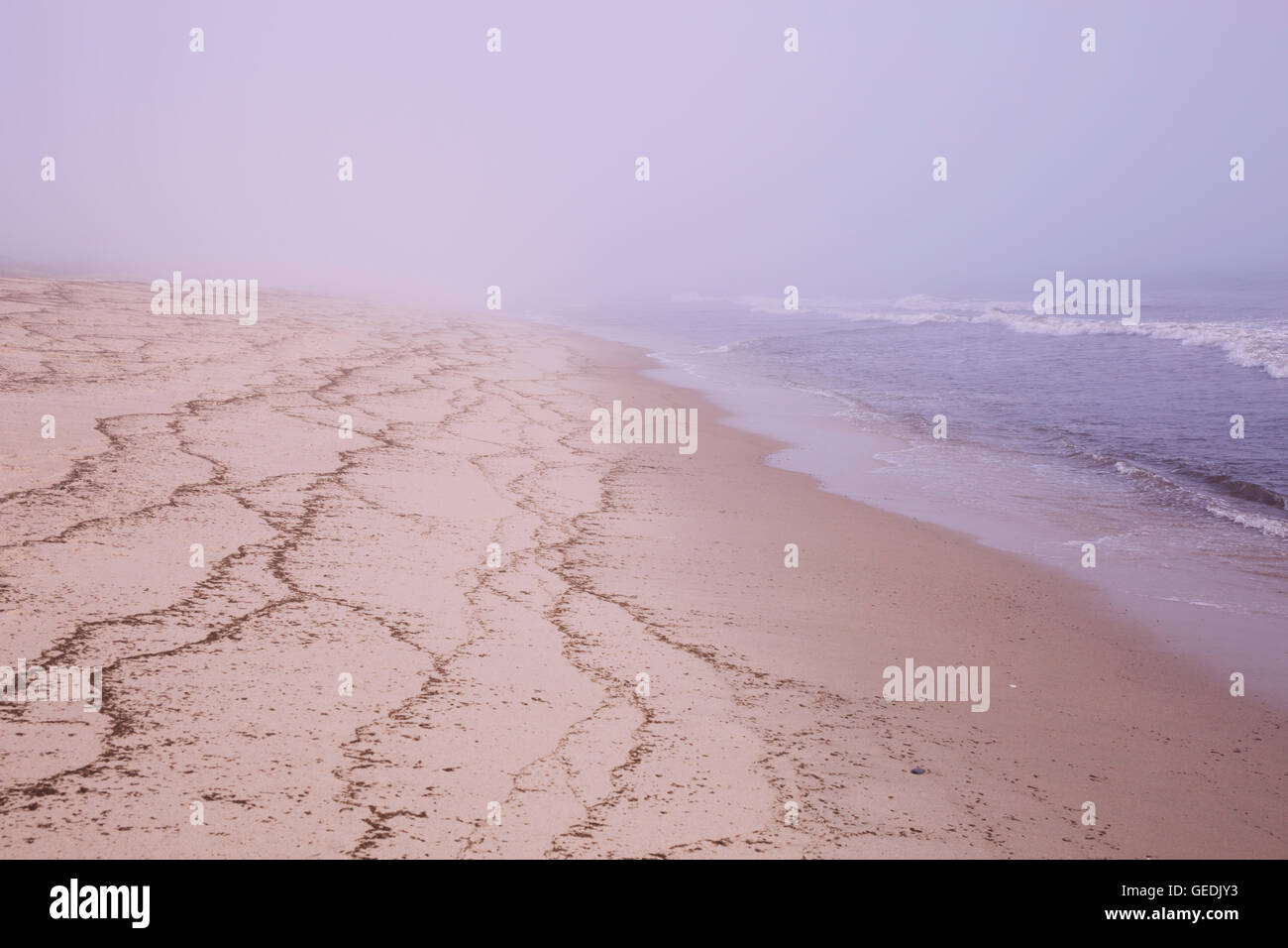 Bella spiaggia misty a Newcomb's Hollow, Wellfleet, MA Cape Cod Foto Stock