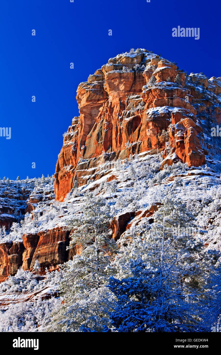 Geografia / viaggi, USA, Arizona, Sedona, Slide Rock State Park, a Sedona, in Arizona, Oak Creek Canyon, No-Exclusive-uso Foto Stock