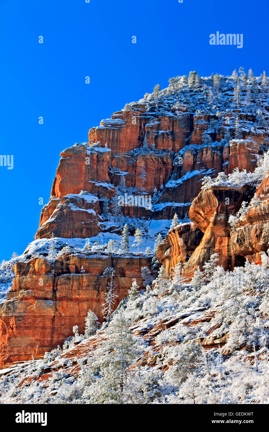 Geografia / viaggi, USA, Arizona, Sedona, Slide Rock State Park, roccia, Sedona, in Arizona, Oak Creek Canyon, No-Exclusive-uso Foto Stock