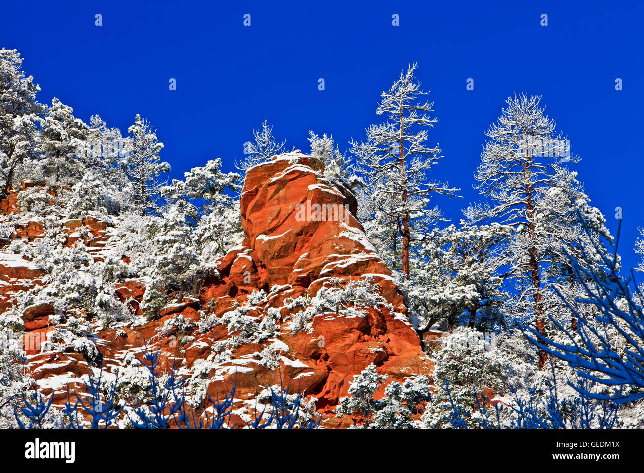 Geografia / viaggi, USA, Arizona, Sedona, Slide Rock State Park, a Sedona, in Arizona, Oak Creek Canyon, No-Exclusive-uso Foto Stock