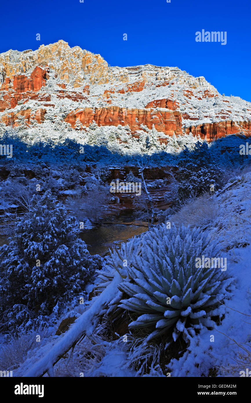 Geografia / viaggi, USA, Arizona, Sedona, Slide Rock State Park, a Sedona, in Arizona, Oak Creek Canyon, No-Exclusive-uso Foto Stock