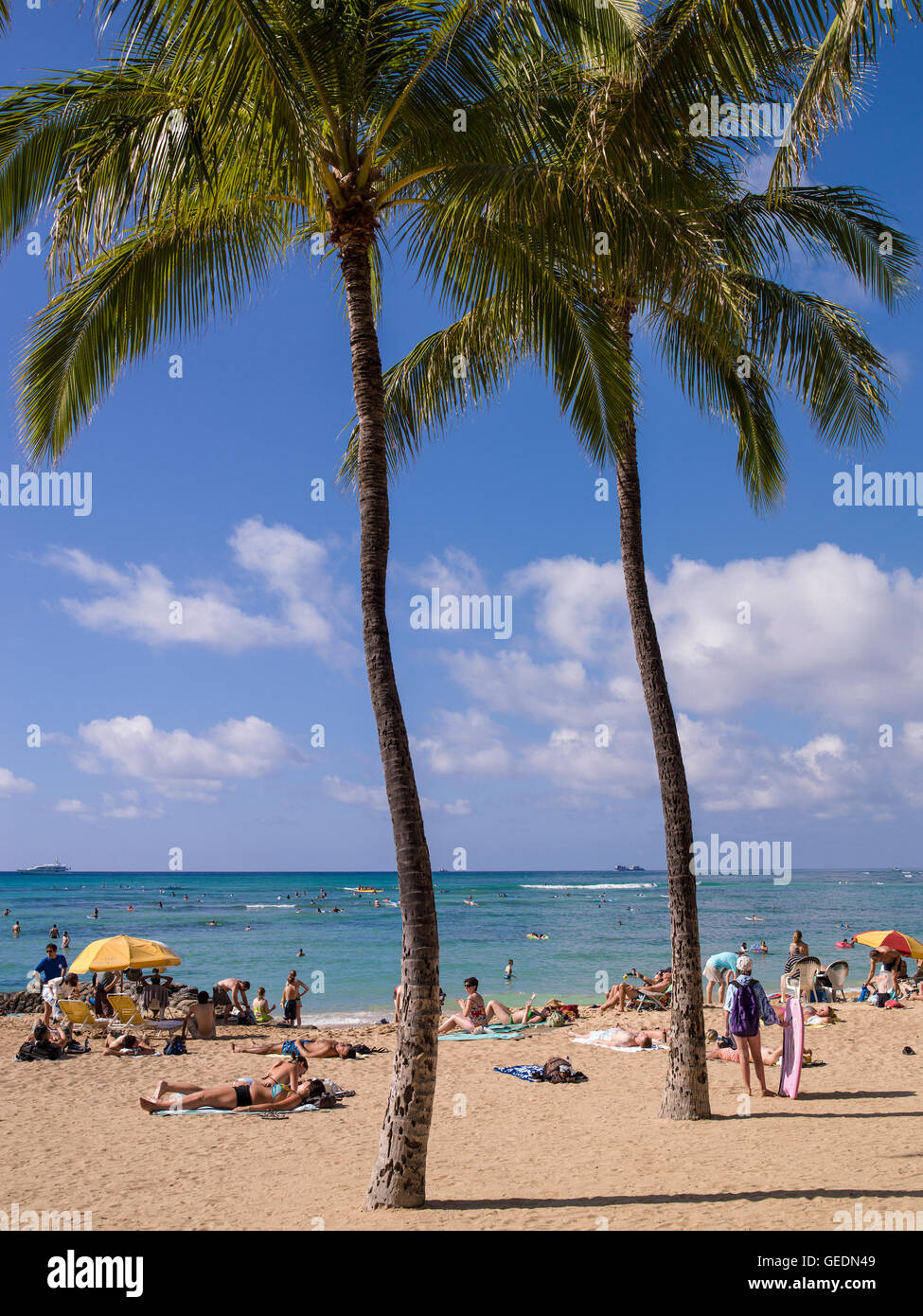La spiaggia di Waikiki. Hawaii. Stati Uniti d'America Foto Stock