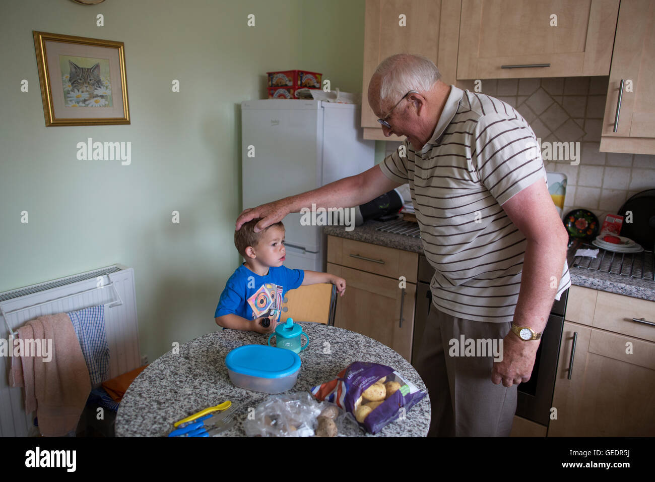 La vecchiaia titolare di pensione o di rendita (83 anni) in cucina con il suo nipote (di età compresa tra i 2) in Inghilterra, Regno Unito Foto Stock
