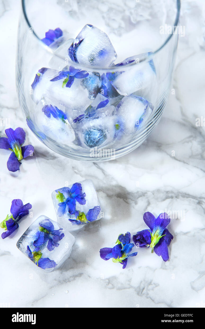 Cubetti di ghiaccio con fiori commestibili Foto Stock