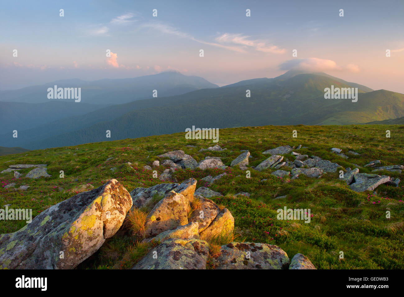 Appartamento grande rilievo in pietra in primo piano all'alba. Carpazi Foto Stock