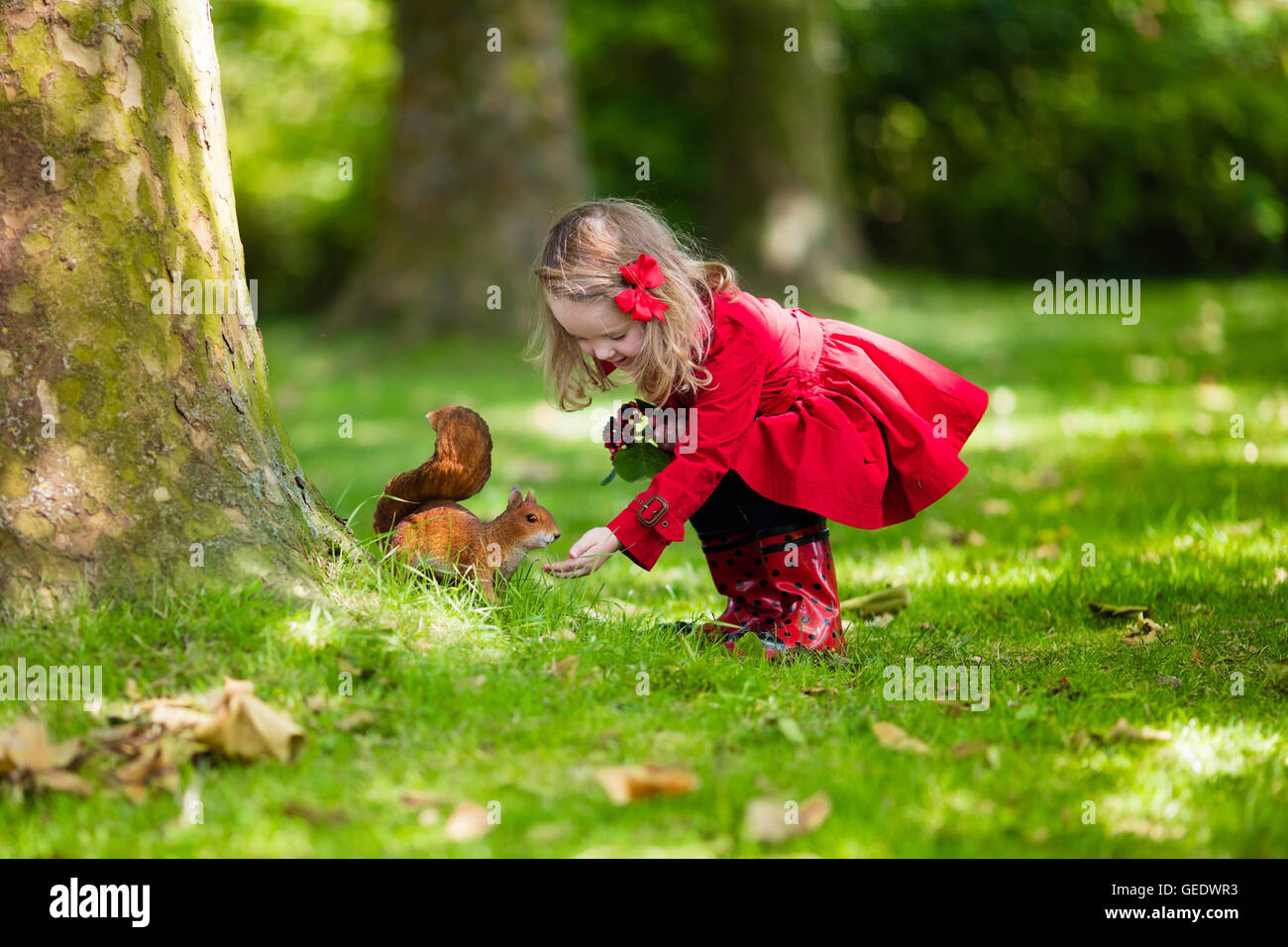 Ragazza scoiattolo alimentazione in autunno park. Bambina in rosso trench coat e stivali da pioggia guardare animale selvatico nella foresta di caduta Foto Stock