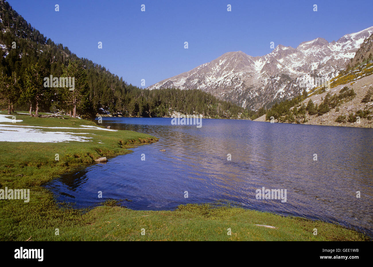 "Estany Llong',Llong lago,Aigüestortes i Estany de Sant Maurici National Park,Pirenei, provincia di Lleida, Catalogna, Spagna. Foto Stock