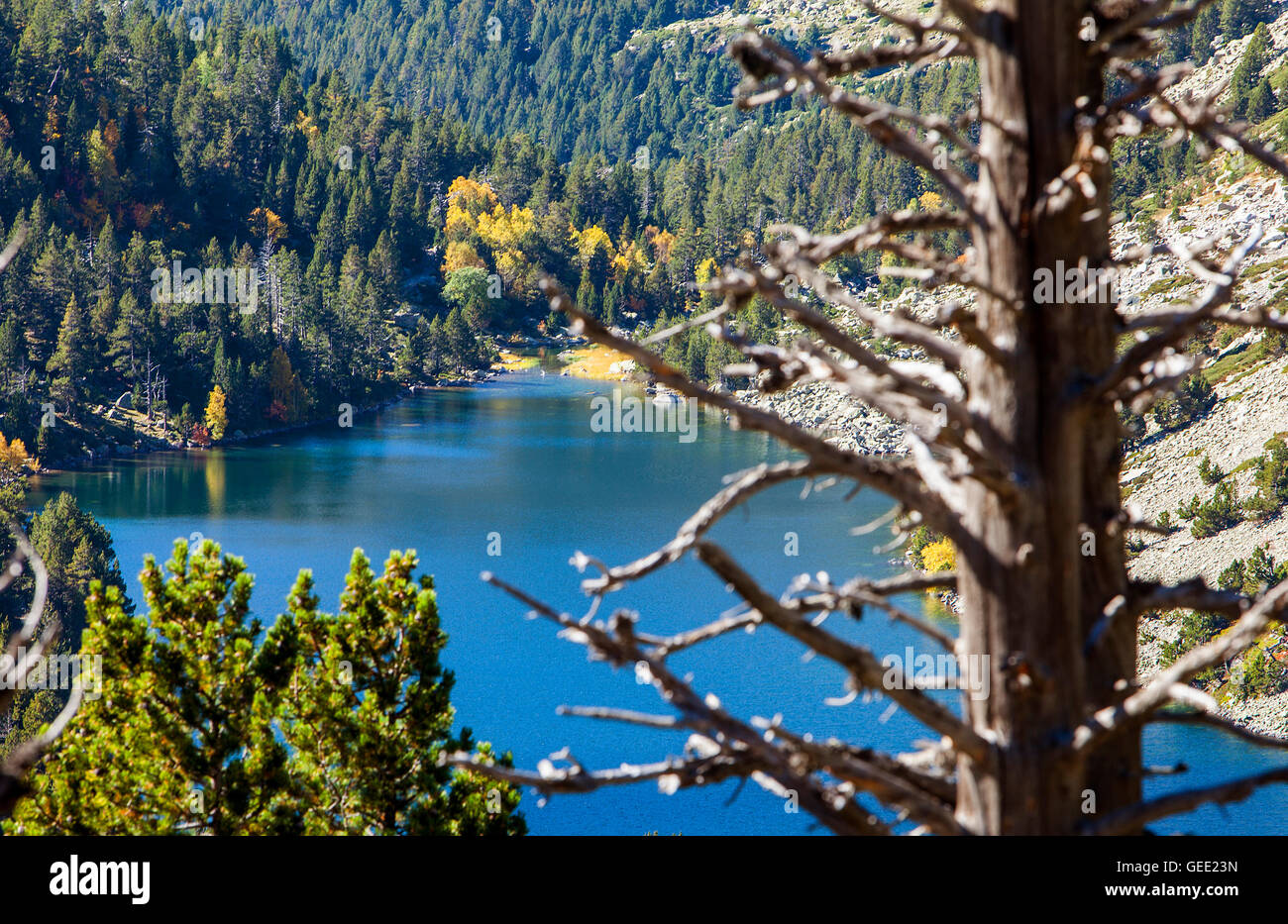 "Estany Llong',Llong lago,Aigüestortes i Estany de Sant Maurici National Park,Pirenei, provincia di Lleida, Catalogna, Spagna. Foto Stock