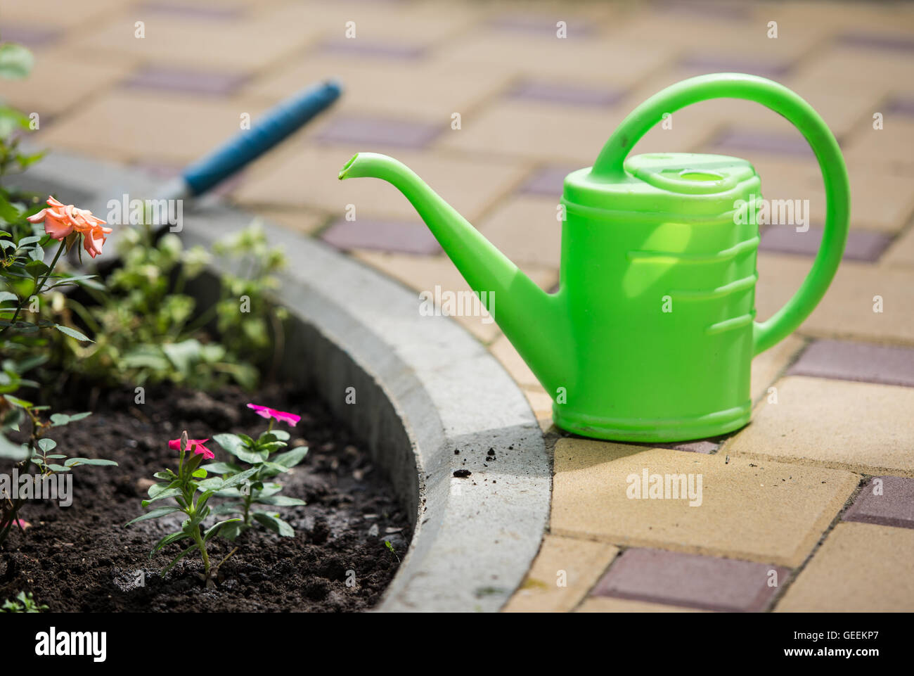 Verde acqua in plastica può chiudere fino foto vicino l'aiuola Foto Stock