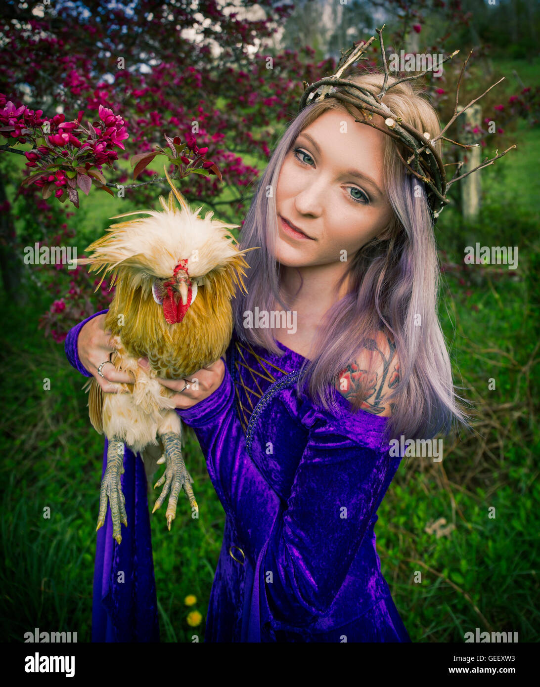 Giovane donna vestita di un velluto viola vestaglia e ramoscello crown tenendo un pollo con la fioritura di mele del granchio in background Foto Stock