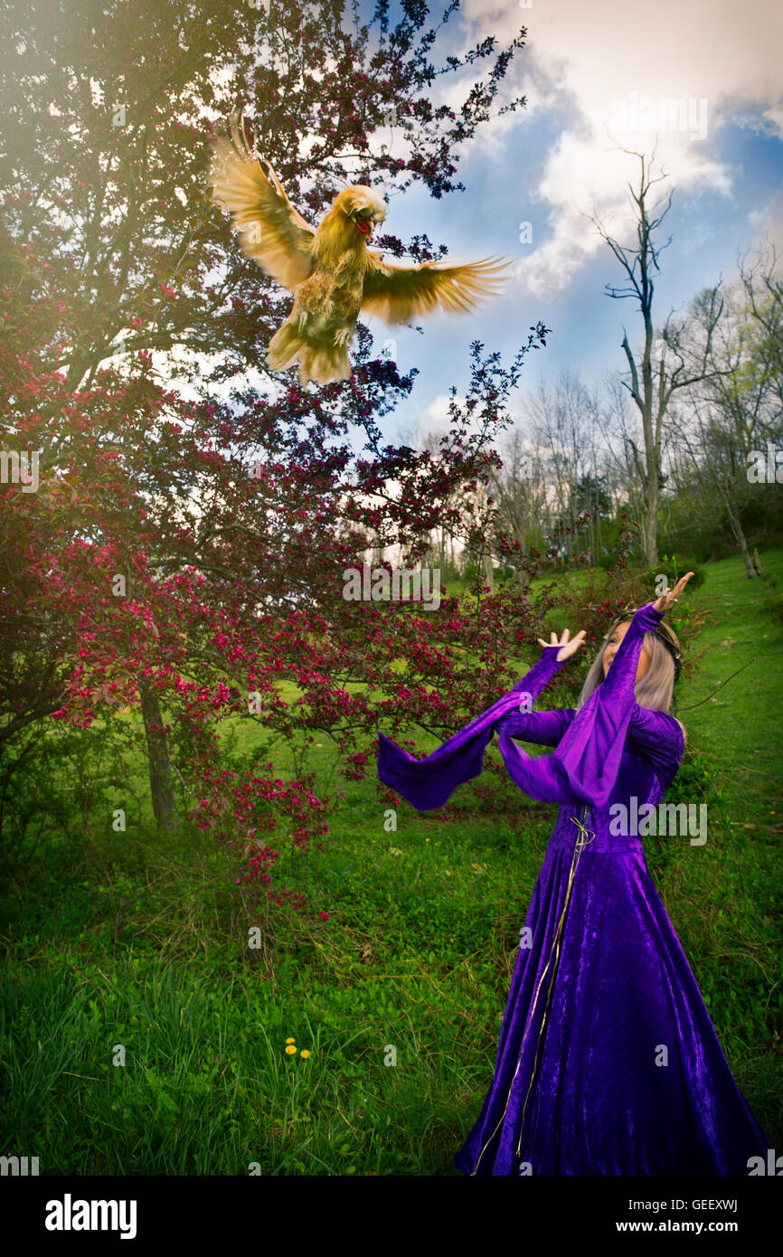 Una giovane donna che indossa un velluto viola vestaglia gettando un pollo in aria con una fioritura crab apple e cielo blu Foto Stock