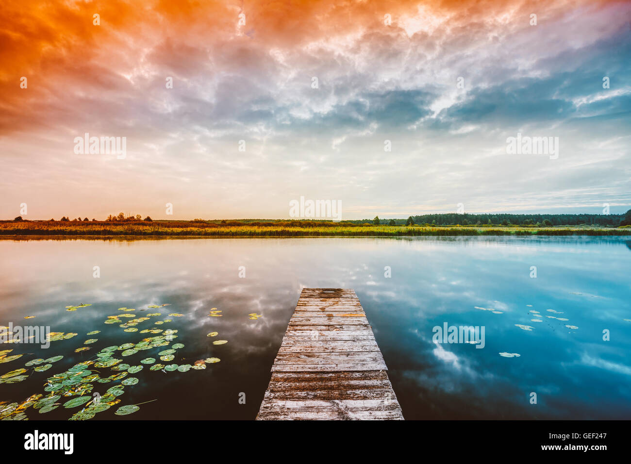 Tavole in legno pier sulle calme acque del lago, fiume al tramonto, foresta sull'altro lato. Paesaggio. La natura dello sfondo. Foto Stock