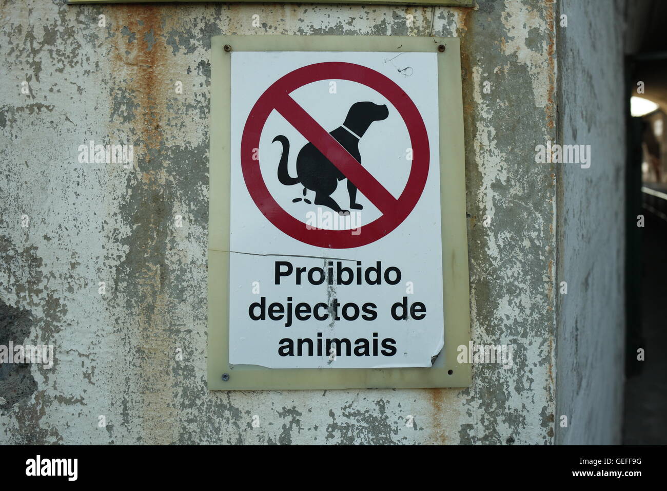 Proibido dejectos de animali. Dog Poo vietato firmare in portoghese all'ingresso al porto di Funchal, Madeira Foto Stock