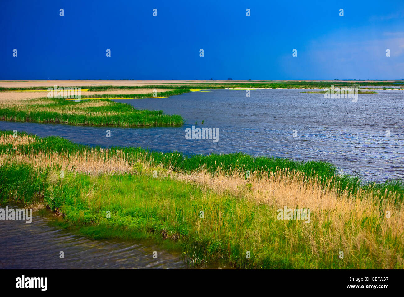 Geografia,corsa,Canada,Manitoba,Stonewall,panoramica Teal cella amaca Oak Marsh Interpretive Center,vicino a Stonewall,Manitoba, Foto Stock