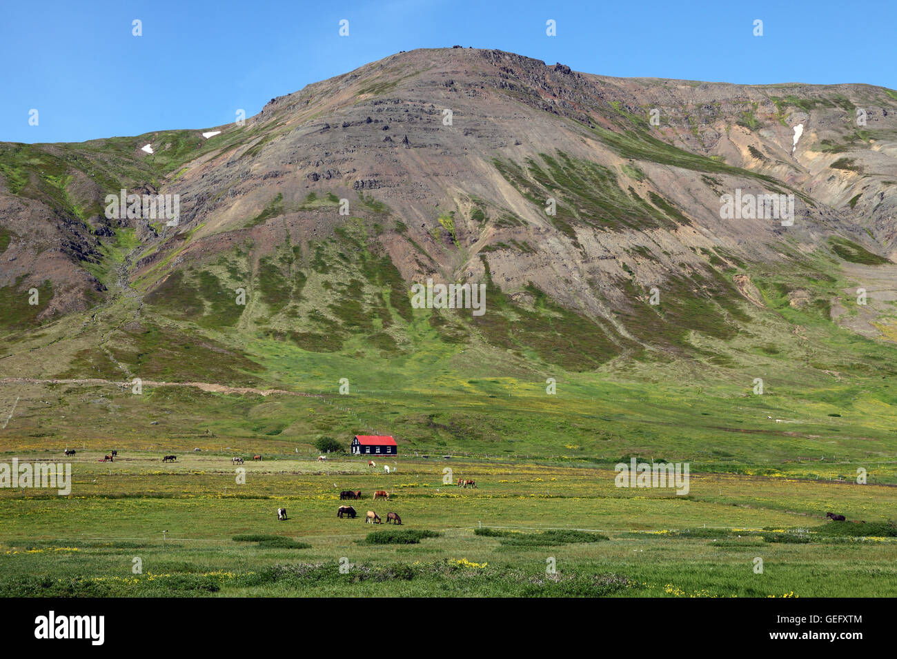 Agriturismo, Nordurland vestra, Islanda Foto Stock