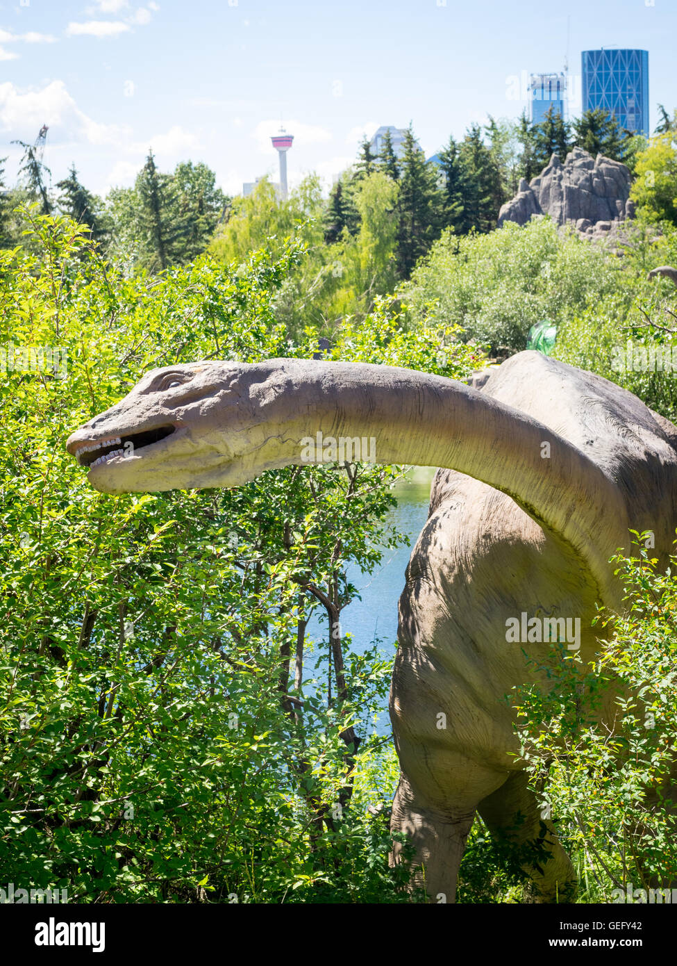 Un modello di replica di un Apatosaurus, un genere di sauropod dinosaur. Lo Zoo di Calgary, Calgary, Alberta, Canada. Foto Stock