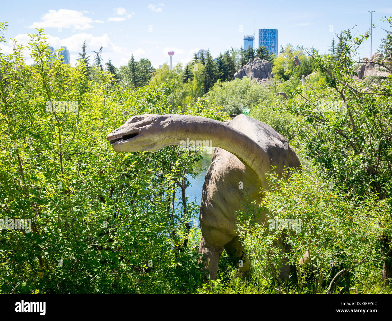Un modello di replica di un Apatosaurus, un genere di sauropod dinosaur. Lo Zoo di Calgary, Calgary, Alberta, Canada. Foto Stock