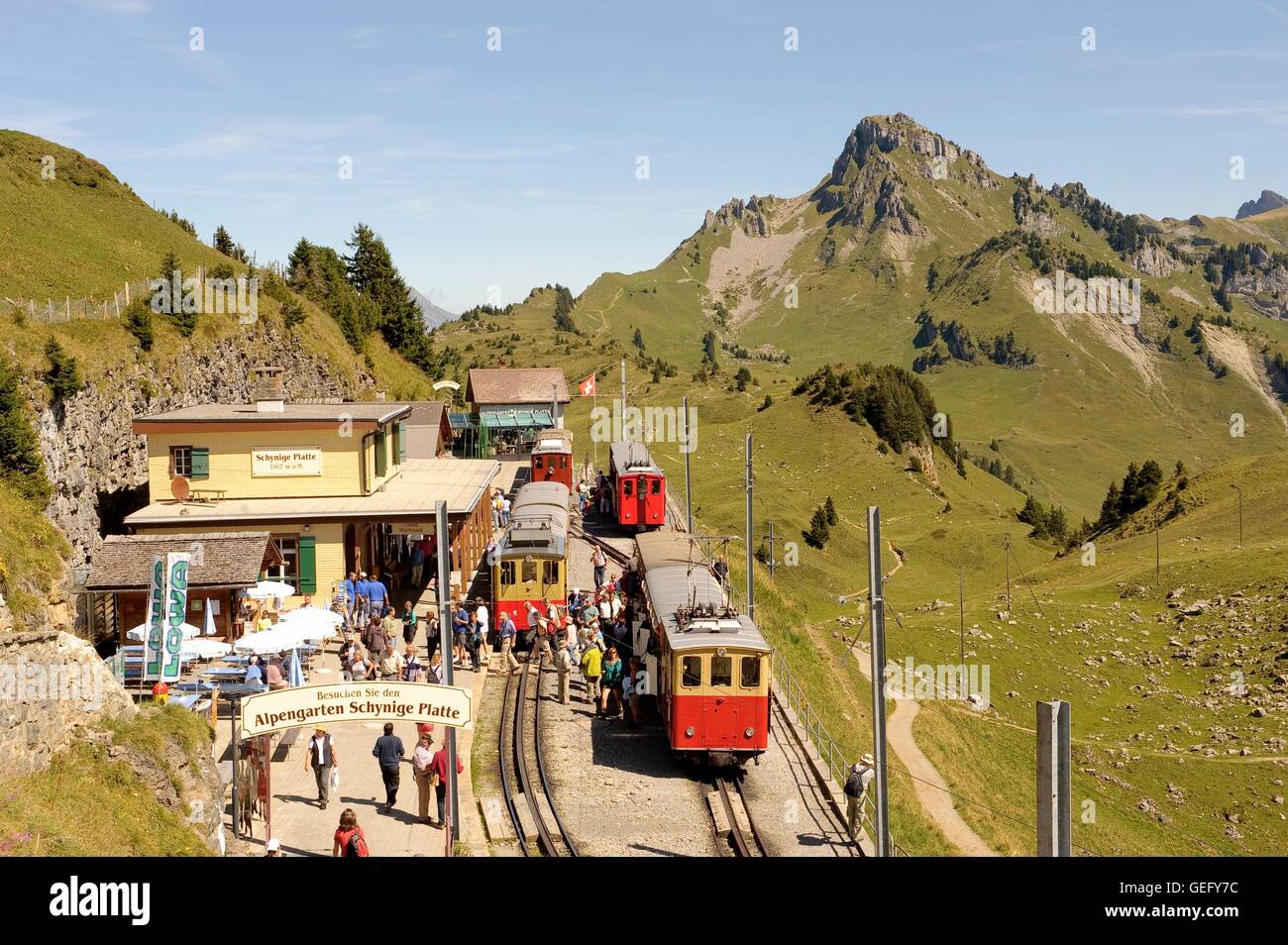 Schynige Platte ferroviarie, Oberland bernese Foto Stock