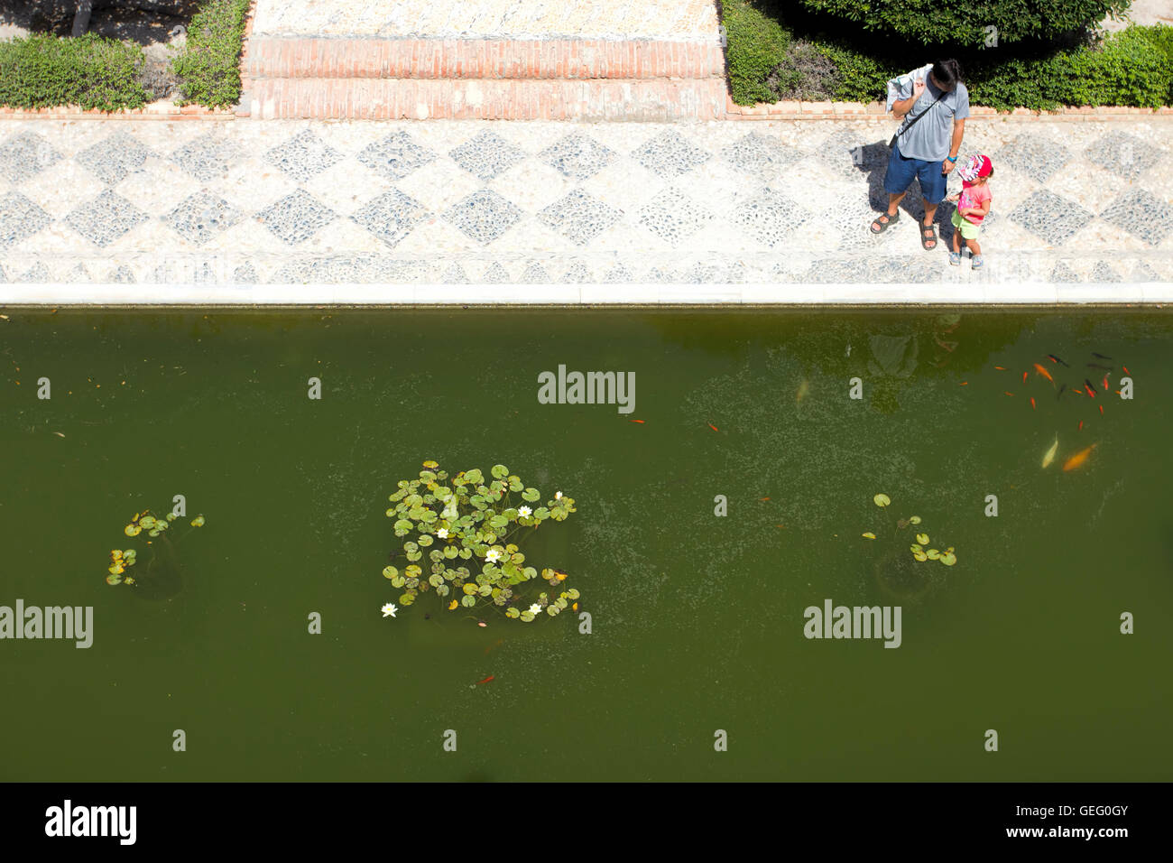 Alcazaba di Almería. Una bambina e un padre guardano al laghetto ornamentale dell'Emsemble Monumentale la Alcazaba, Almeria, Spagna Foto Stock