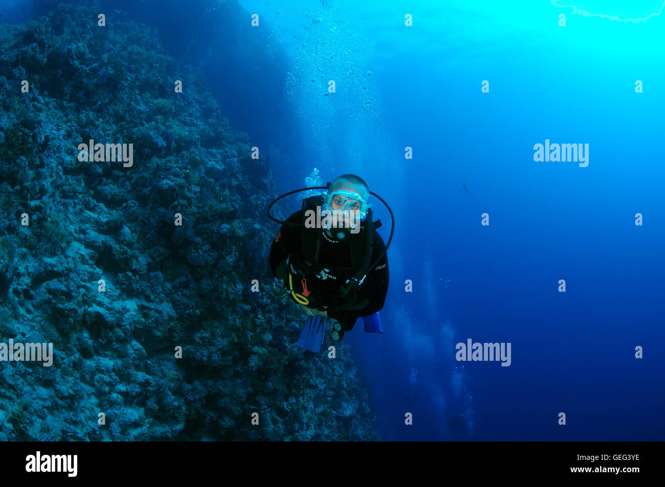 Voce maschile subacqueo con una barriera corallina, Mar Rosso, Egitto, Africa Foto Stock