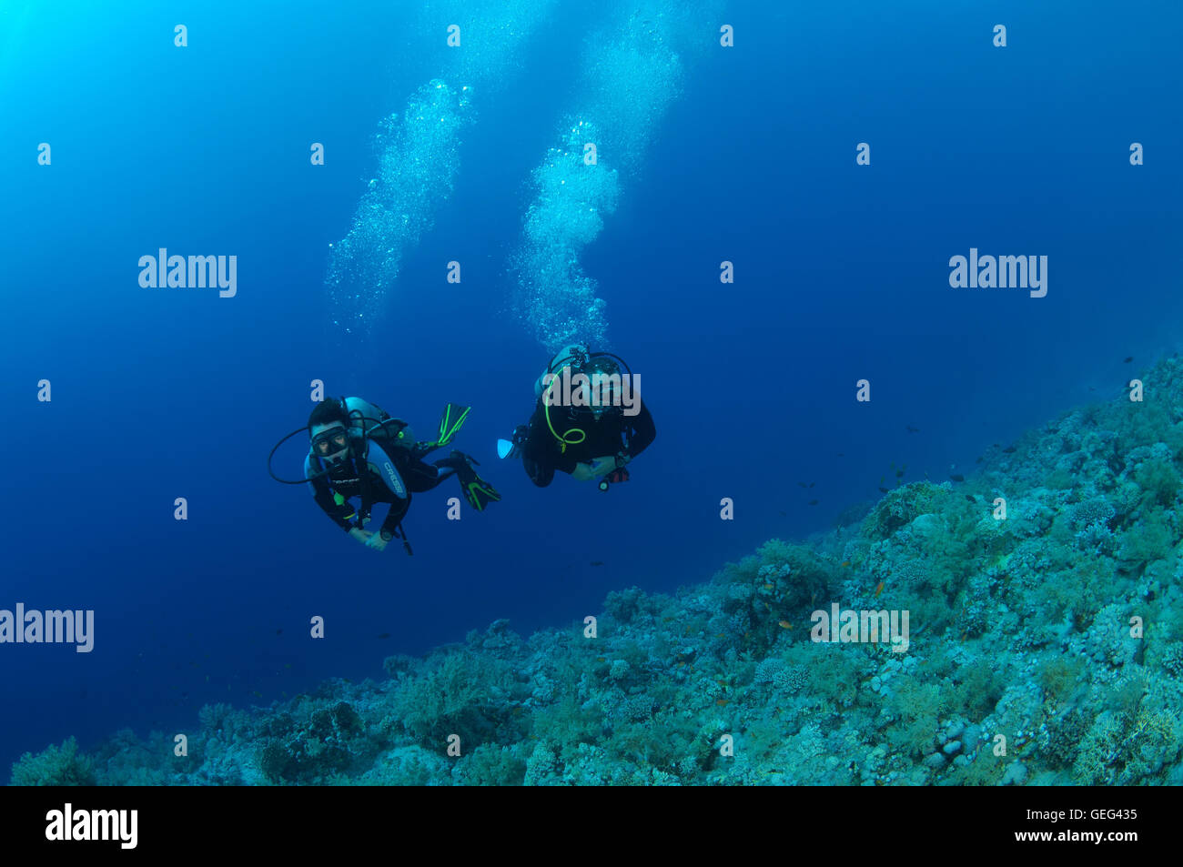 Due subacquei con una barriera corallina, Mar Rosso, Egitto, Africa Foto Stock