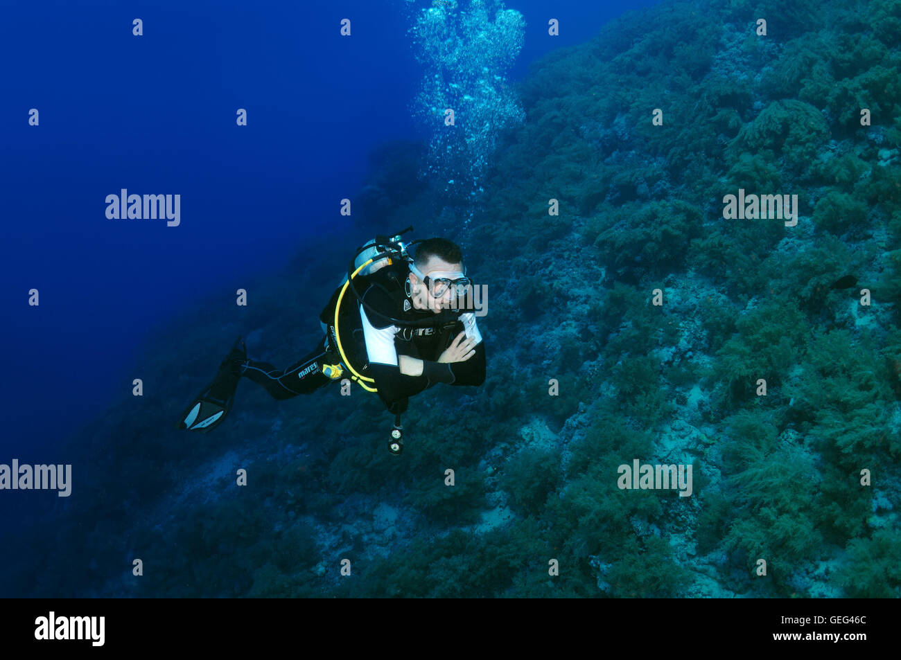 Voce maschile subacqueo con una barriera corallina, Mar Rosso, Egitto, Africa Foto Stock